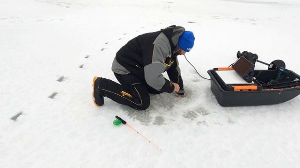 Active Target & Elite FS