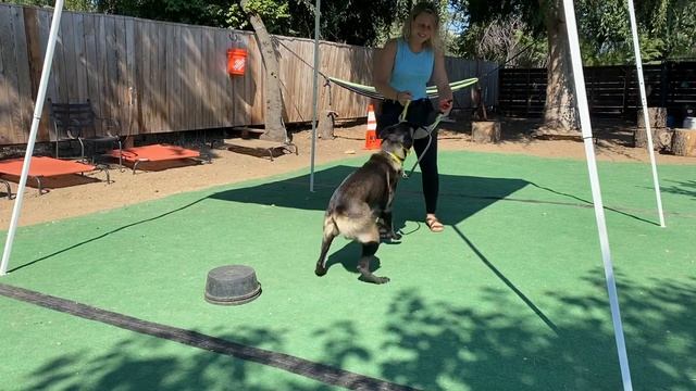 Radar working on touch pads смотреть онлайн