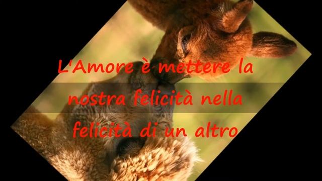 Io sono Amore e tu? смотреть онлайн
