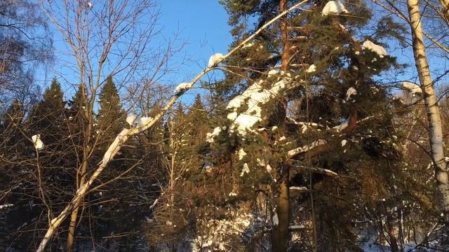 Весна, весна приходит! смотреть онлайн