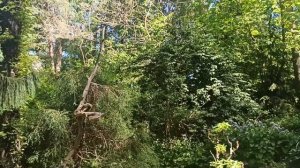 Обзор. «Сад на песке» Елены Грошавень в мае задержал нас в Коломне на сутки.