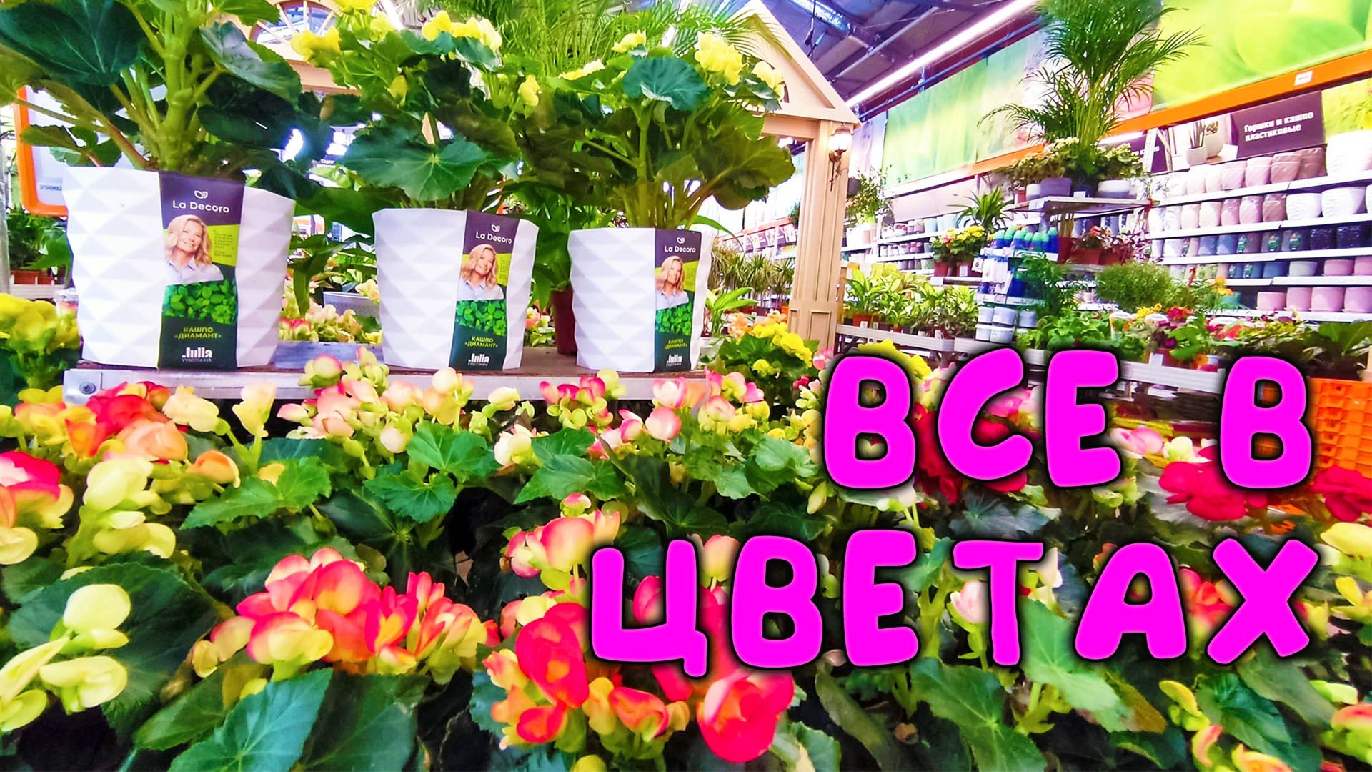 Такого еще не было 😱 Мега завоз цветов 🌺 в ОБИ: розы, бегонии, цикламены, пионы, гладиолусы смотреть онлайн