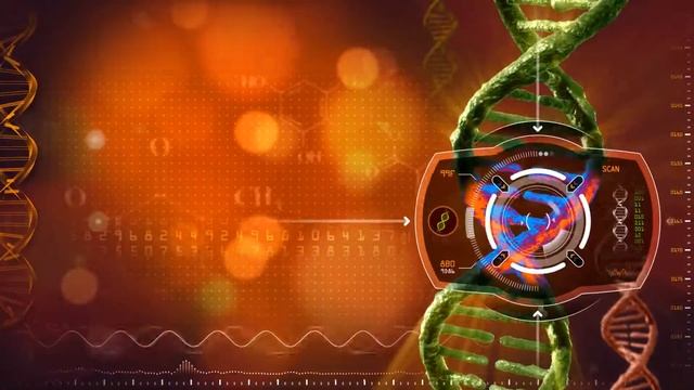 abstract animation of dna heat signature scan seamless looping contains blank space for your conten смотреть онлайн