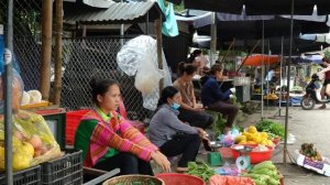 HEAVY RAIN & LIGHTNING - 17 Year Old Single Mother Harvesting Wild Papaya | Ly Tieu Ca