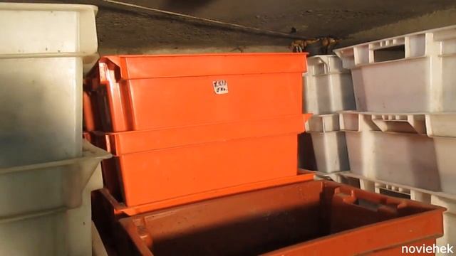 Секрет от Вермера. Полезно для тех, кто хочет купить коконы или малька Дендробены . смотреть онлайн