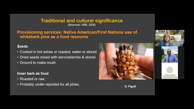 Dr. Diana Tomback presents Whitebark Pine: From Thriving High-Mountain Keystone to Endang. Species смотреть онлайн