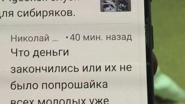 #Pigeons.Лучше пару скакунов чем табун ишаков. смотреть онлайн