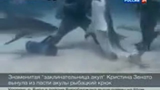 Кристина Зенато спасла акулу! смотреть онлайн