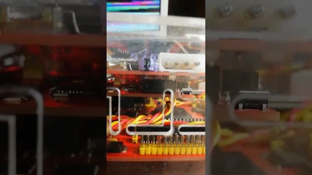 ZX EVOLUTION+NeoGS+ZXM