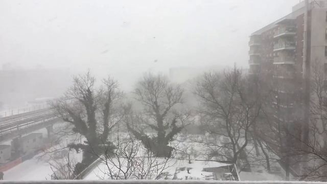 The Wake R S V Meets Morning Snow Storm in NYC смотреть онлайн