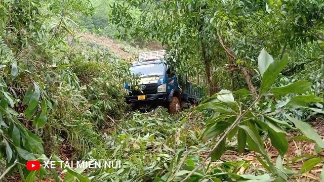 Forland 4x4 in the Jungle смотреть онлайн