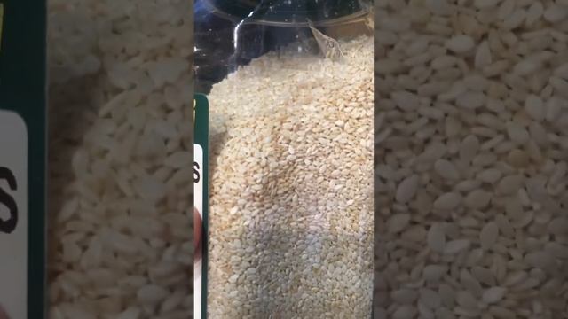 Манник смотреть онлайн