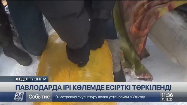 Павлодарда ірі көлемде есірткі тәркіленді смотреть онлайн