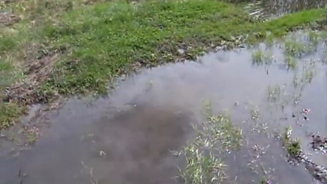 Грязь на рыбалке в Харьковской обл. 2015 (3) смотреть онлайн