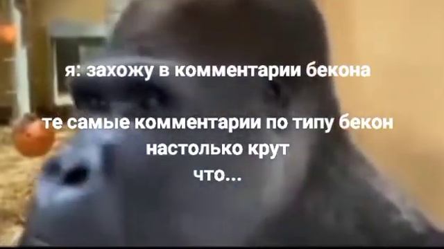 я: захожу в комментарии бемона смотреть онлайн