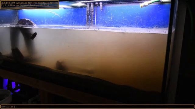 A.R.S.S. 2.0: Pt. 8 Adding The Original Sand Into The Tank (20181215) смотреть онлайн