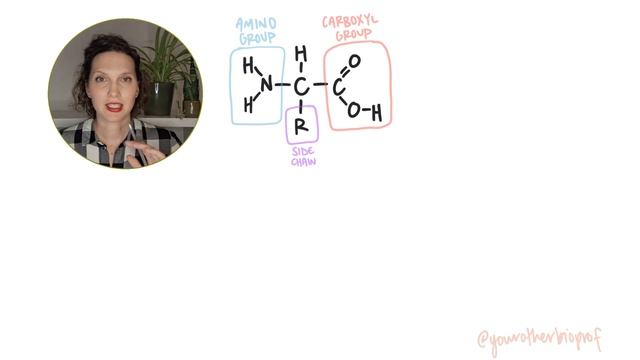 What is the structure of amino acids? What is a peptide bond? (AP Bio, IB Biology, College Bio) смотреть онлайн