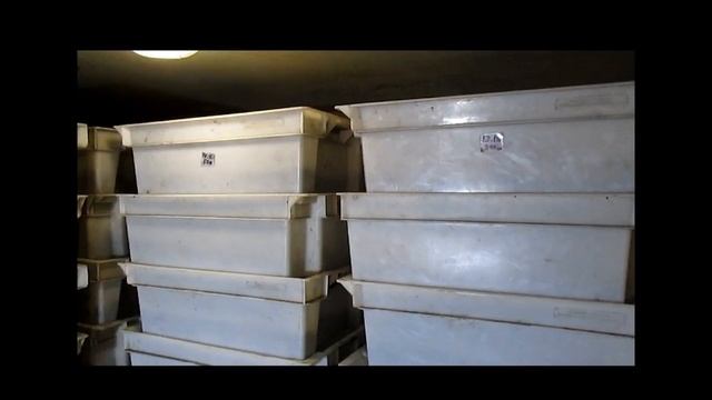 Разведение червя. Маточник. Маточный червь . смотреть онлайн