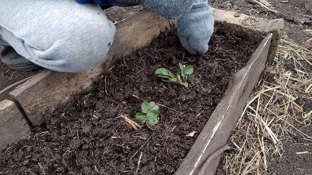 Что задают школьникам на дистанционке смотреть онлайн