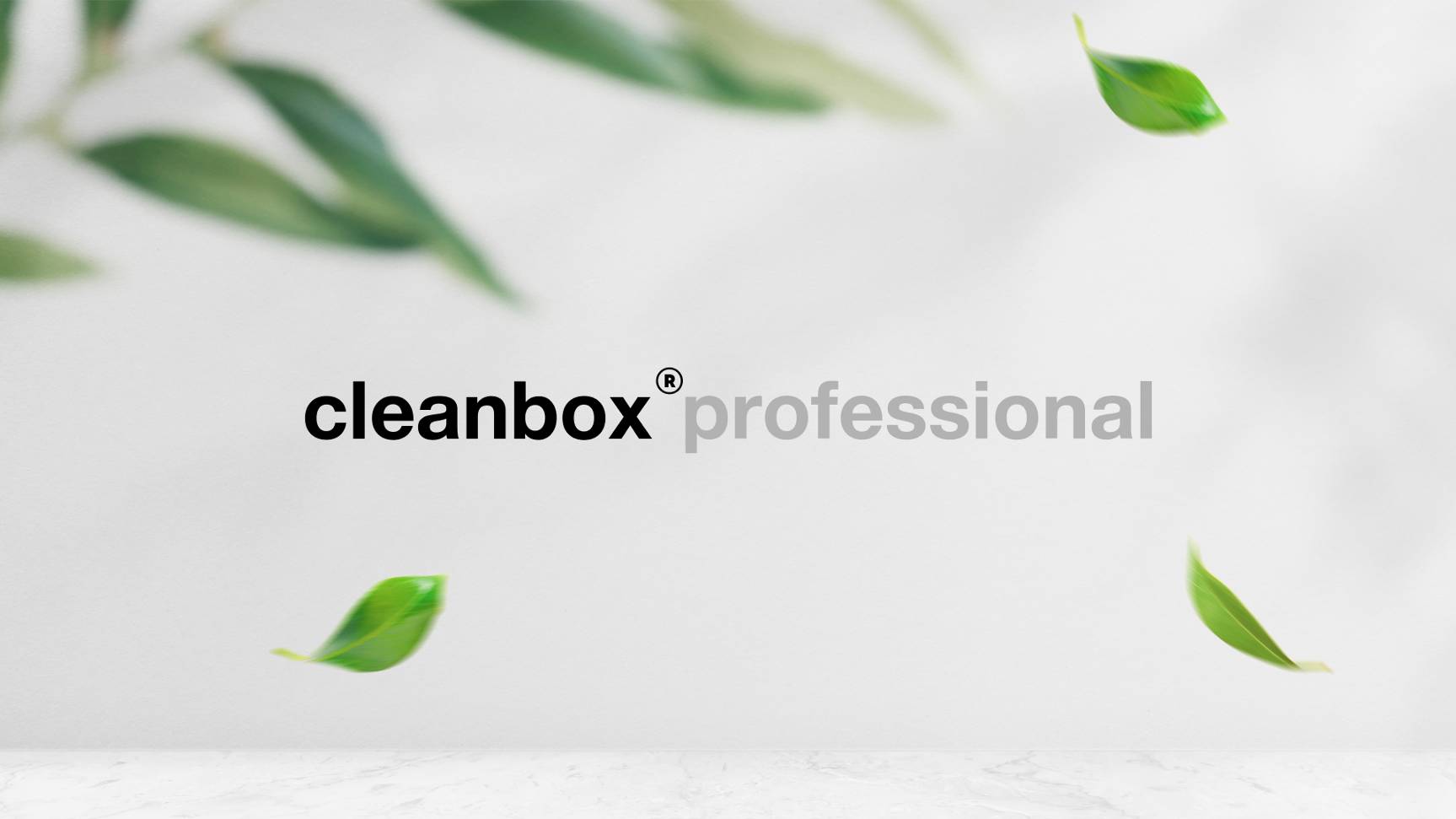 Cleanbox Professional - Профессиональная химия для клининга и прачечных!
