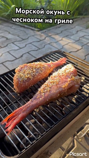 Морской окунь на гриле #shorts #food #shortvideo #youtubeshorts #youtube ##shortsvideo #food #bbq смотреть онлайн