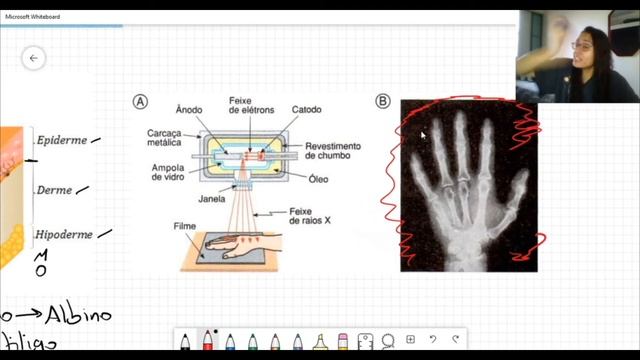 Ciências - 9º Ano Onda Eletromagnética: Raio -X e Raio Gama #20 смотреть онлайн