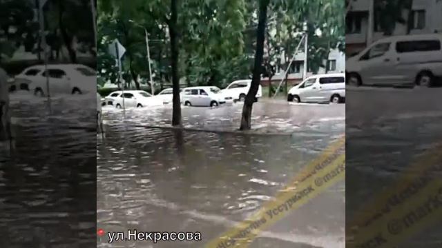 Потоп Уссурийск смотреть онлайн