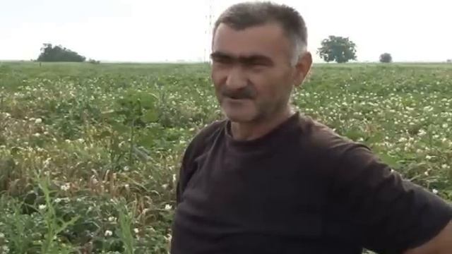20110619 POVRTARI TV Pancevo смотреть онлайн