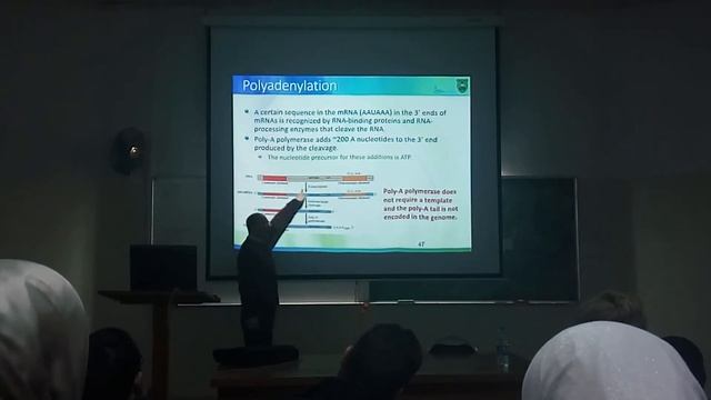 Genetics 10 , DNA Transcription 1 смотреть онлайн