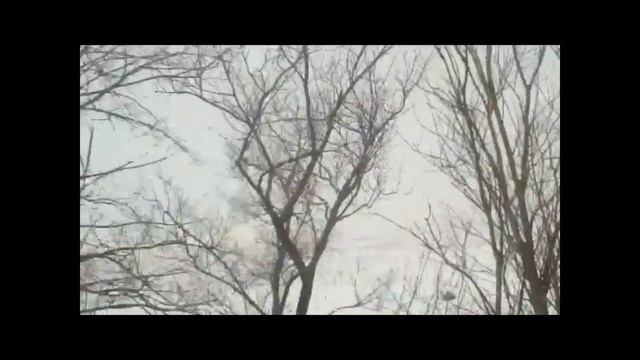 Охота на зайца. Итог дня смотреть онлайн