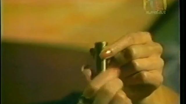 Viviana Lucía Méndez | 1979 || capitulo 1 смотреть онлайн