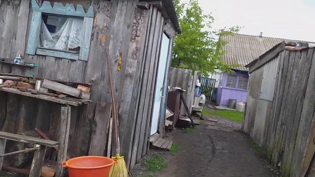 Сделала флюрографию.Помидоры цветут. смотреть онлайн