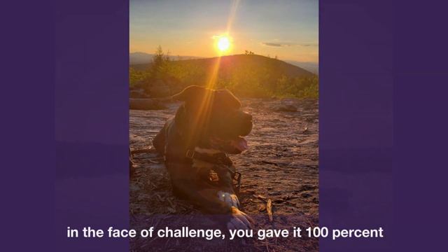 2020 Virtual Sunrise Ascent to support Adaptive Sports Partners of the North Country смотреть онлайн