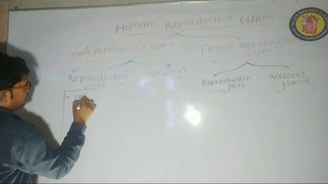 #12th#BIO Live Class#HUMANREPRODUCTION#Introductory lecture on#humanreproduction#neet#ALLEN#ICAR смотреть онлайн