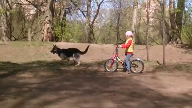 ВЕО АЛЕКС смотреть онлайн