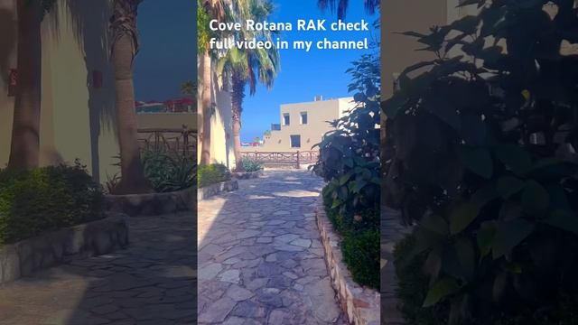 Cove Rotana resort RAK check full video insta 360 go3 footage in my channel смотреть онлайн
