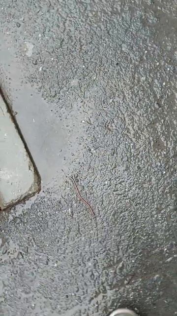 Бизнес без затрат.)))) смотреть онлайн