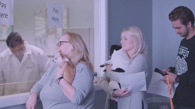 5Strands Pet Food & Environmental Test Promo | Expensive Vet Visits | Instant Elimination Guideline смотреть онлайн