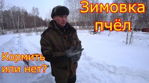 ЗИМОВКА ПЧЁЛ в СИБИРИ! ДАВАТЬ ли ДОТАЦИИ! Уборка точка от снега!