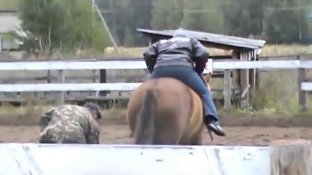 Иппотерапия 09.09.2012 смотреть онлайн