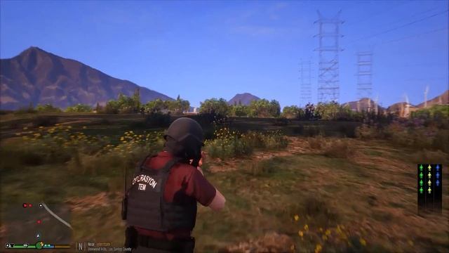 BÜYÜK TEM OPERASYONU ! - GTA 5 PÖH - TEM ORTAK OPERASYON - LSPDFR смотреть онлайн