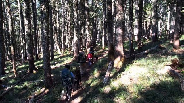 Section G, Oregon of the Pacific Crest Trail plus’s Romona Falls and other side trails смотреть онлайн