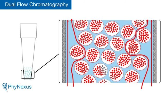 Biotage Dual Flow Chromatography смотреть онлайн