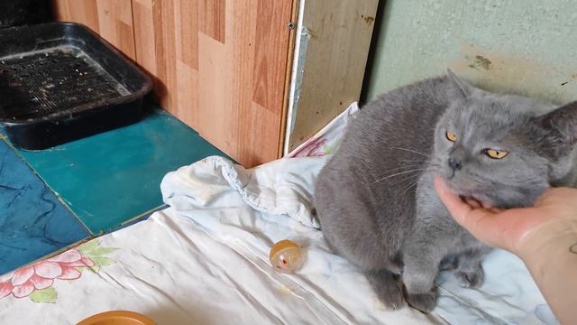 День добра... Делай добро и оно к вам вернётся смотреть онлайн