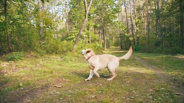 Профилактика употребления наркотиков. #наркотикамНет смотреть онлайн