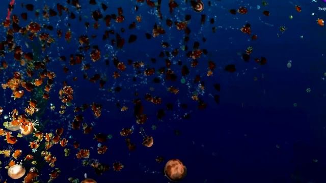 Aquar.io - Multiplayer Fish Battle .io Game