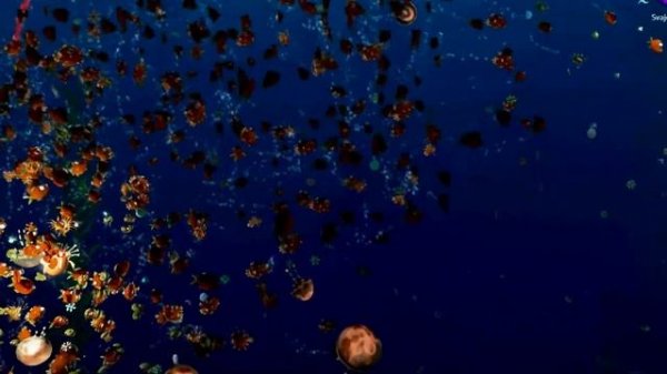 Aquar.io - Multiplayer Fish Battle .io Game