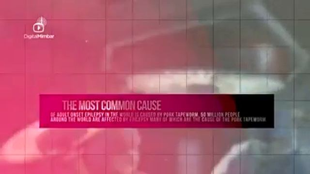 О вреде свинины смотреть онлайн