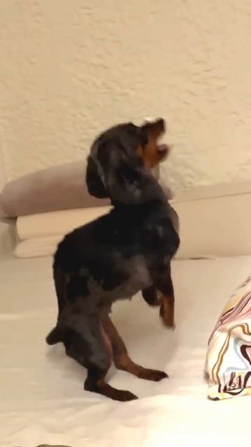 Big Fails 😂🤣🤣 (2)