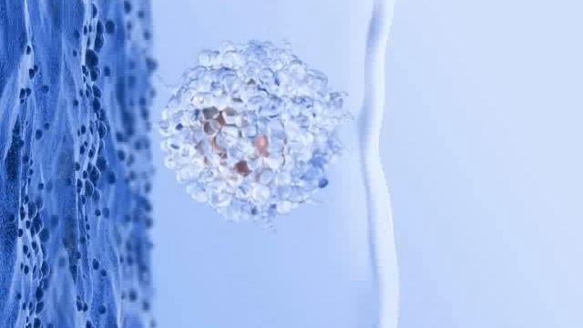 EmbryoGlue Implantation original с русскими субтитрами смотреть онлайн